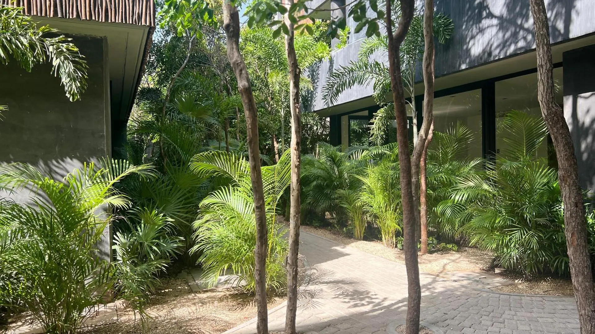 Lovely 2Bedroom Apartment Serviced + Pool & Garden Tulum 0*,
